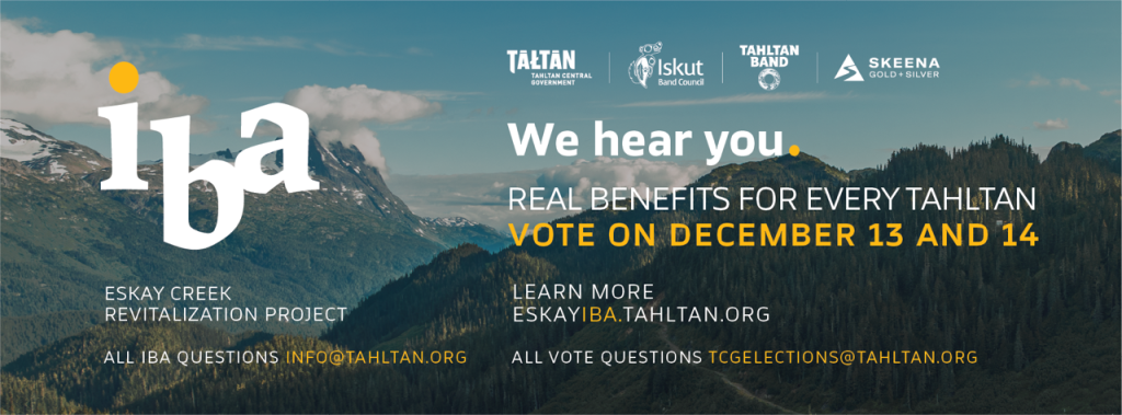 IBA_2.0_FB-Banner_V1